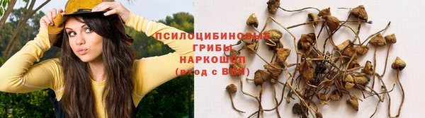 прущие крисы Абинск