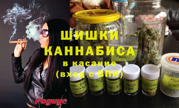 ALPHA PVP Козельск