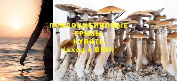 не бодяженный Абдулино