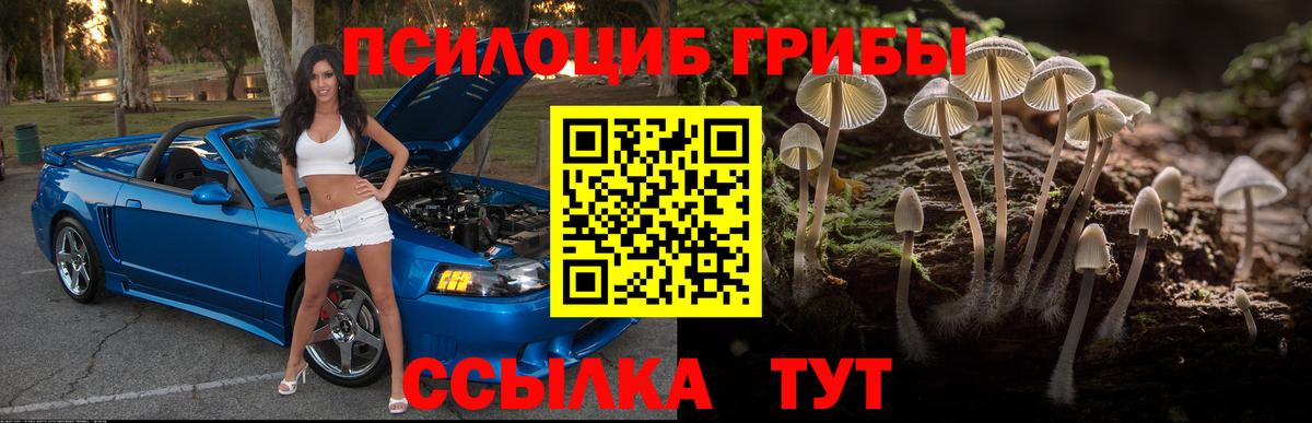 Ханты-Мансийск  Галлюциногенные грибы Cubensis  Вход с VPN 